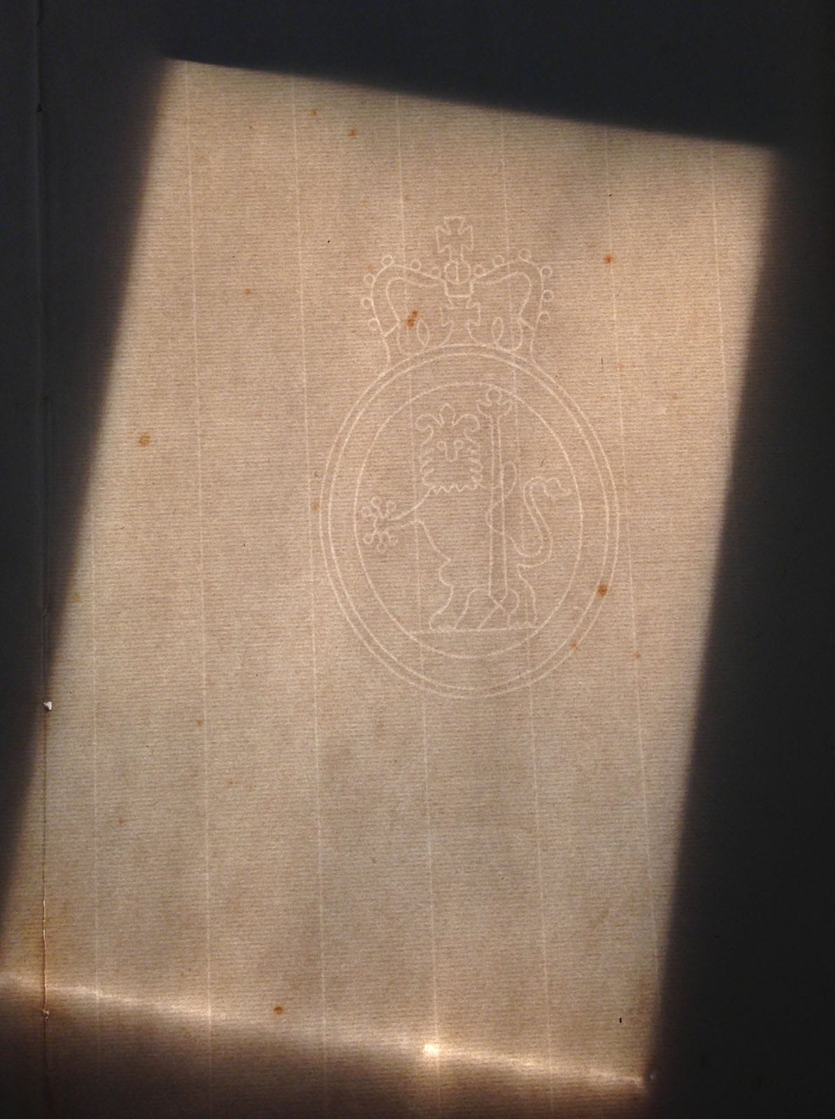 backlit lion watermark in unprinted paper